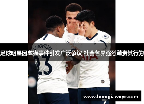 足球明星因虐猫事件引发广泛争议 社会各界强烈谴责其行为