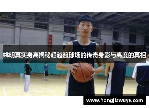 姚明真实身高揭秘超越篮球场的传奇身影与高度的真相
